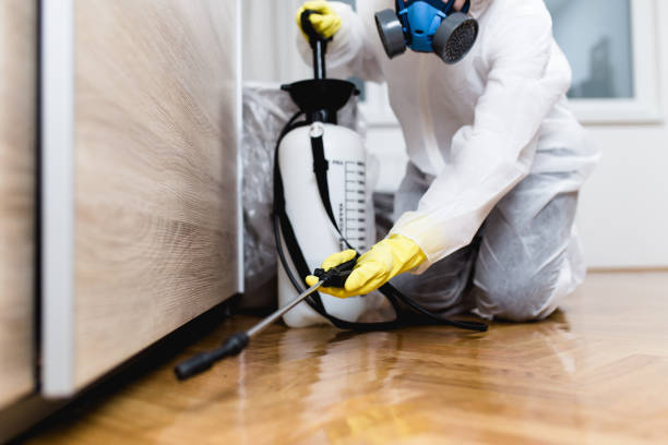 Best Mosquito Control Services  in Gholson, TX