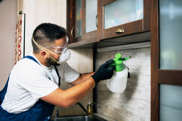 Best Emergency Pest Control  in Gholson, TX