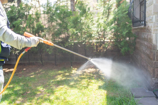 Best Local Pest Control Services  in Gholson, TX