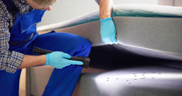 Best Ant Control Services  in Gholson, TX