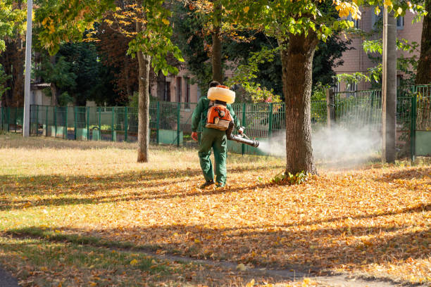 Best Residential Pest Control  in Gholson, TX