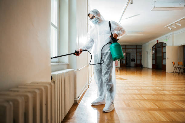 Best Flea Control Services  in Gholson, TX