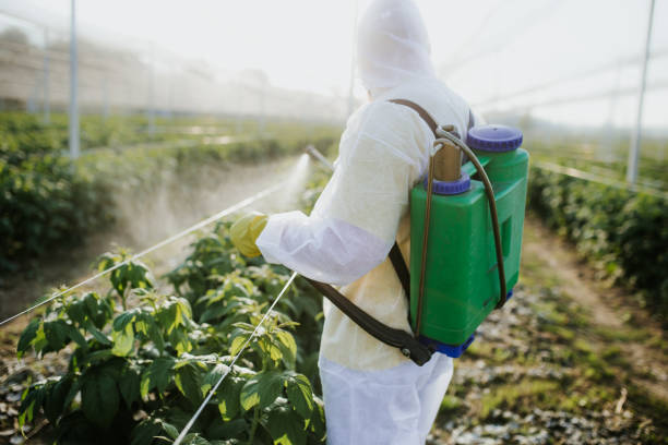 Best Affordable Pest Control Services  in Gholson, TX